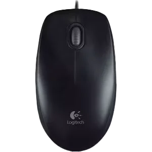 Photo Souris B100